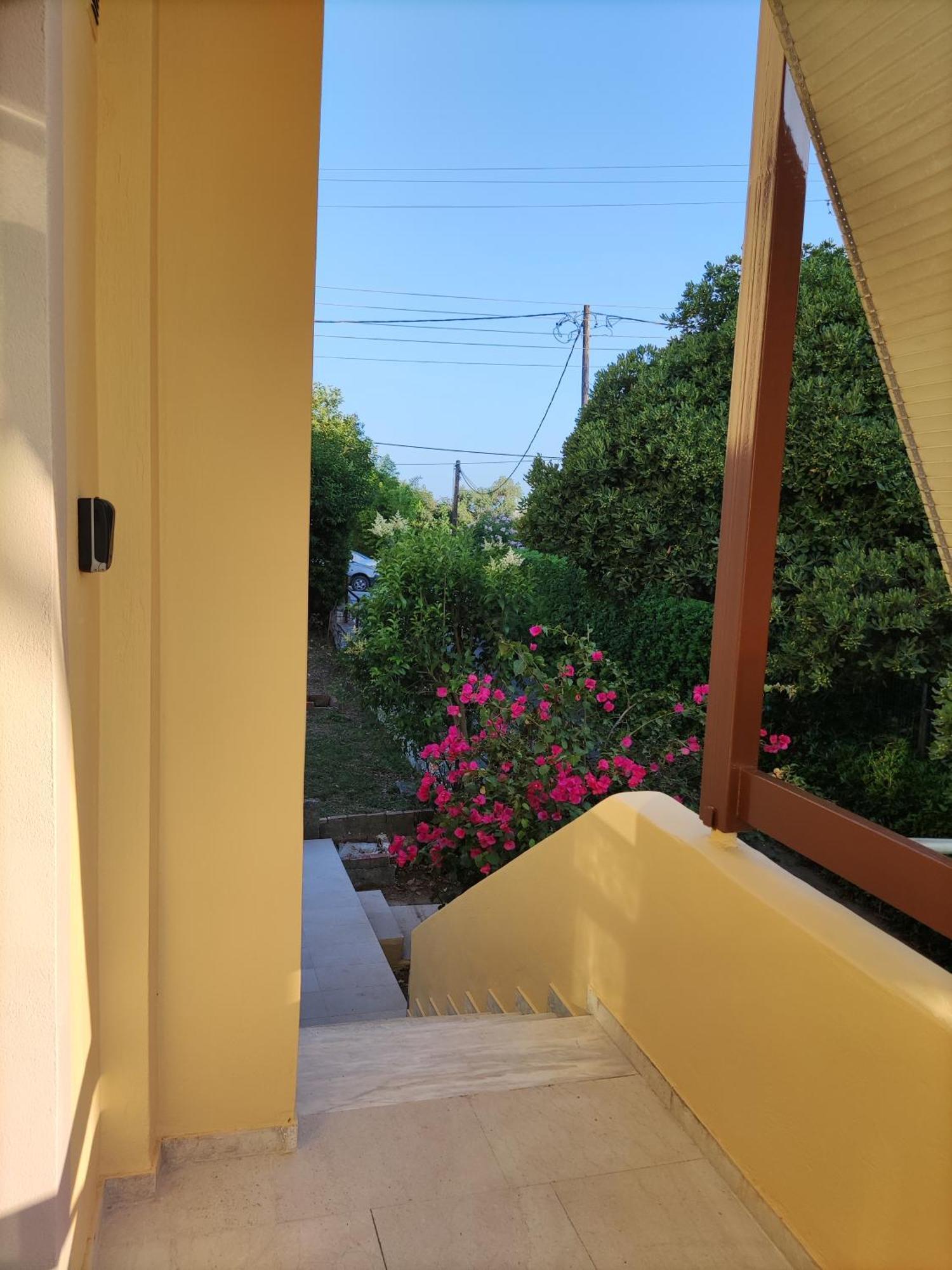 Angelique'S Cozy Apartment Alepou 外观 照片